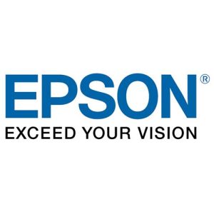 Original Ink Cartridge Epson (wf-c21000)C13T02Y100 Black