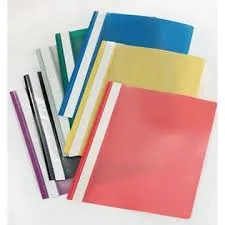 Business Plastic File A4-320
